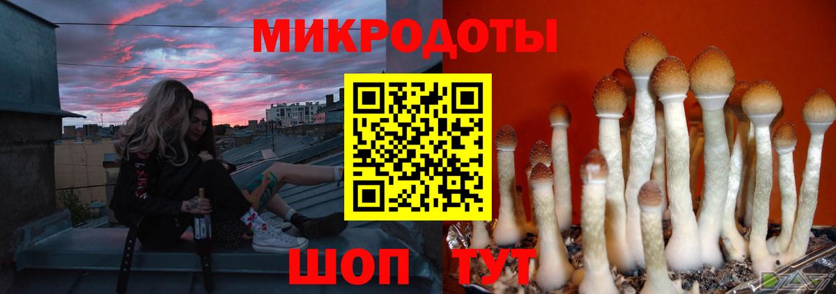 Псилоцибиновые грибы мухоморы Ипатово